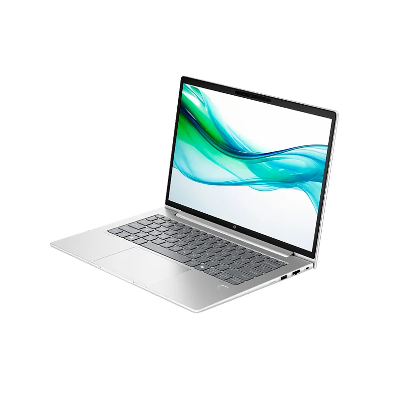 Laptop HP ProBook 445 G11, 14" WUXGA IPS UWVA, Ryzen 7 7735U, 16GB DDR5, 1TB SSD M.2